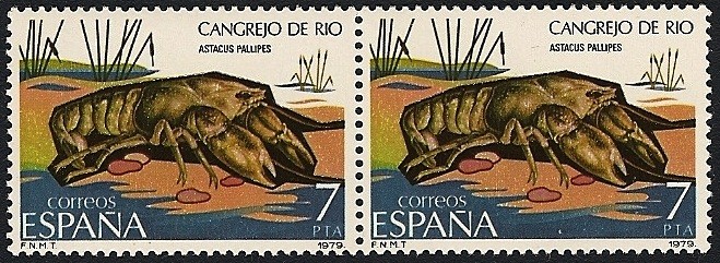 Fauna hispánica - cangrejo de río