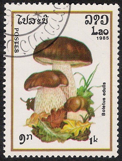 SETAS-HONGOS: 1.174.002,01-Boletus edulis -Phil.47561-Dm.985.30-Y&T.634-Mch.829-Sc.628