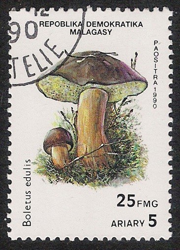 SETAS-HONGOS: 1.182.001,01-Boletus edulis -Phil.47151-Dm.990.95-Y&T.1007-Mch.1288-Sc.1001C