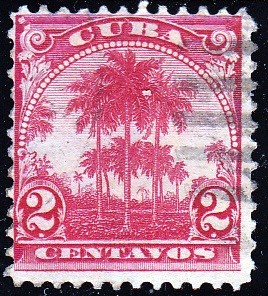 Palmeras	