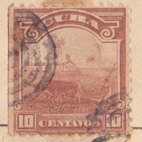 Ed 1905