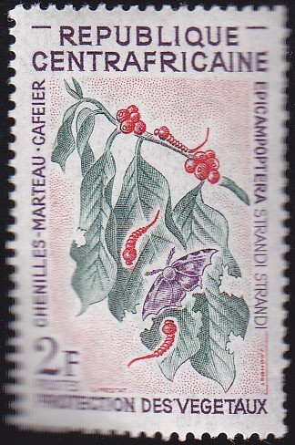 protecion de los vegetales