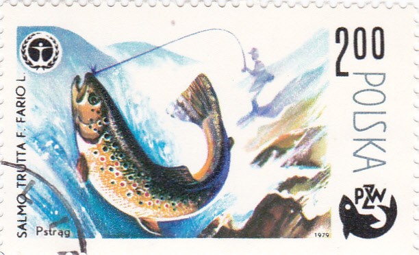 pesca