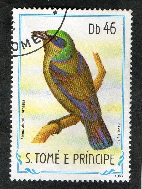 AVES.  LAMPROTORNIS  ORNATUS