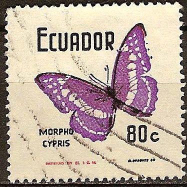 Mariposas-Morpho cypris