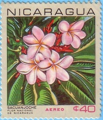 Sacuanjoche Flor Nacional