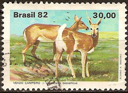 Fauna brasileña-Venado Pampa.