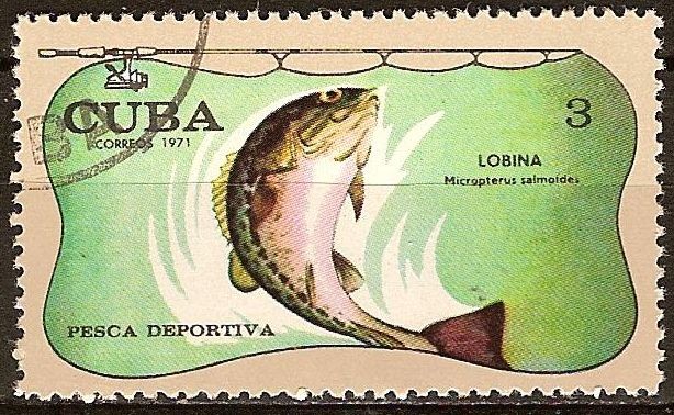 Pesca deportiva (Lobina).