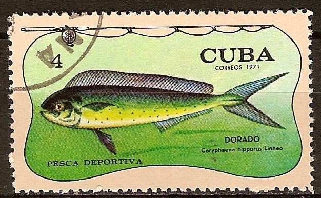 Pesca deportiva (Dorado).