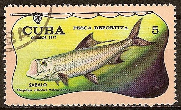 Pesca deportiva (Sabalo).