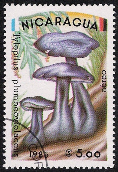 SETAS-HONGOS: 1.201.006,01-Tylopilus plumbeoviolaceus -Dm.985.15-Y&T.A1087-Mch.2566-Sc.1408