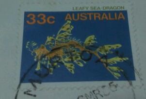1985 Leafy Sea Dragon Sea Life AUSTRALIA