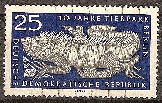 10 años parque zoológico de Berlín (DDR)