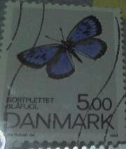 SELLO POSTAL mariposa azul DINAMARCA 1993