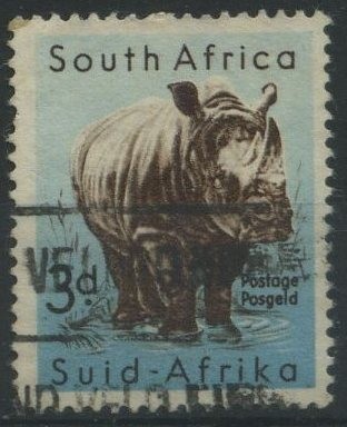 S204 - Rinoceronte blanco