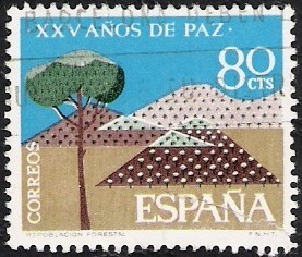 XXV Añosde Paz Española