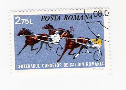 Centenarul Cursellor de cai din Romania (repetido)
