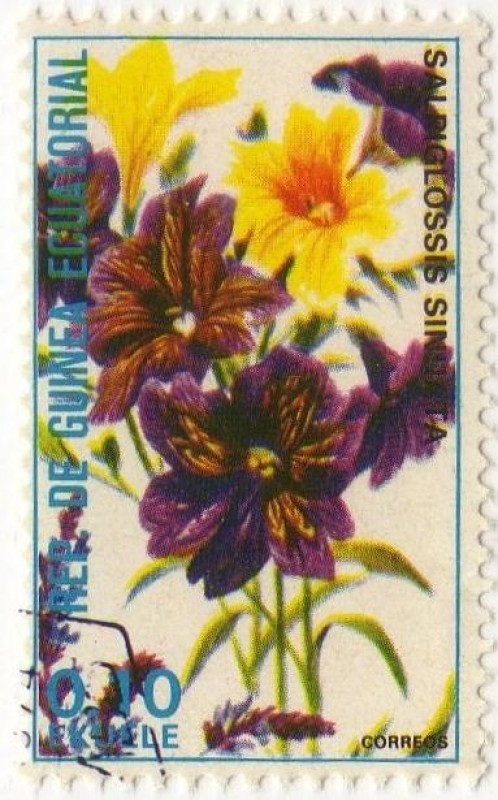 SALPIGLOSSIS SINUATA