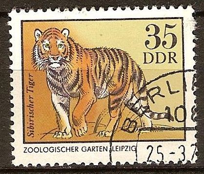 Parques zoológicos en la DDR-Tigre seberiano.