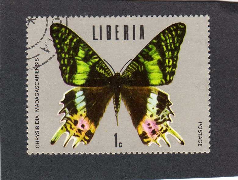 mariposa