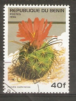 FLOR  DE  CACTUS