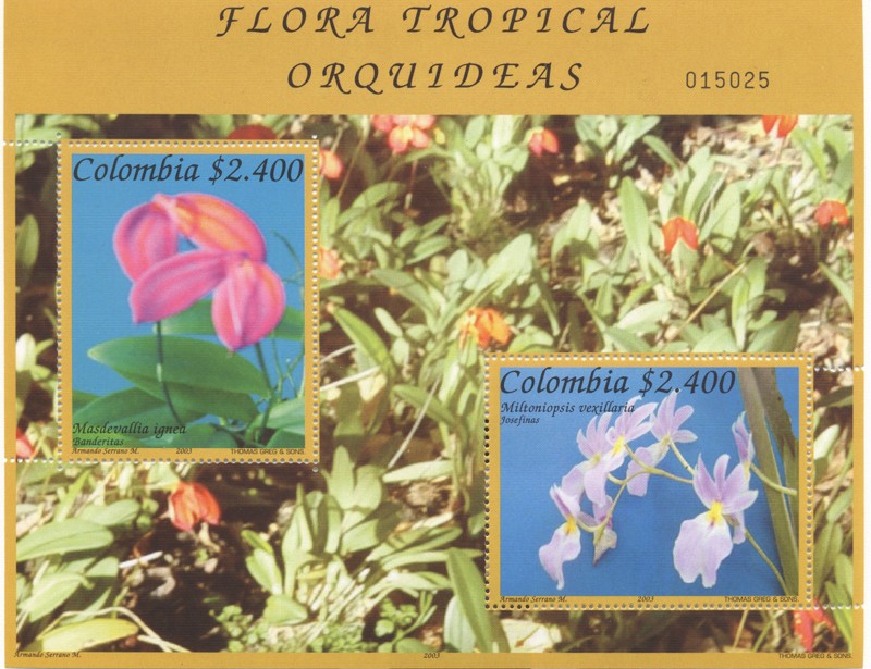 Flora Tropical.Orquideas