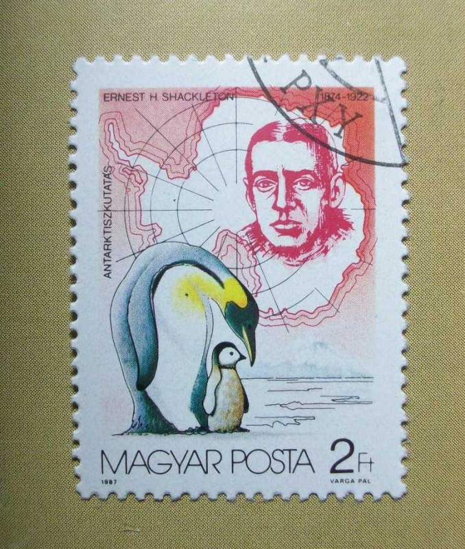 Ernest H. Shackleton (1874-1922) y Pinguinos.