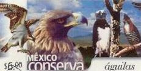 Mexico conserva aves aguila 