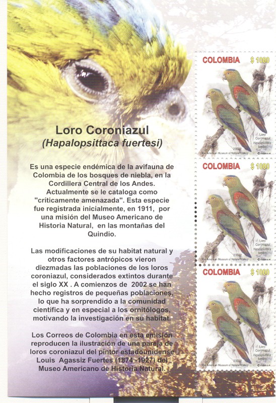 Loro Coroniazul