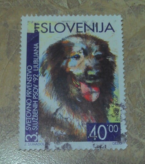 Slovenia shepherd