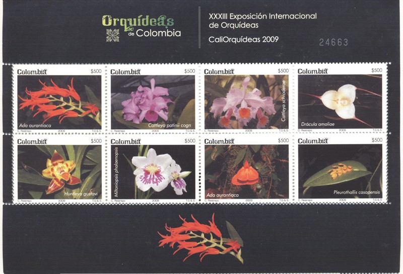 Eorquideas de Colombia, XXXIII Exposición Internacional