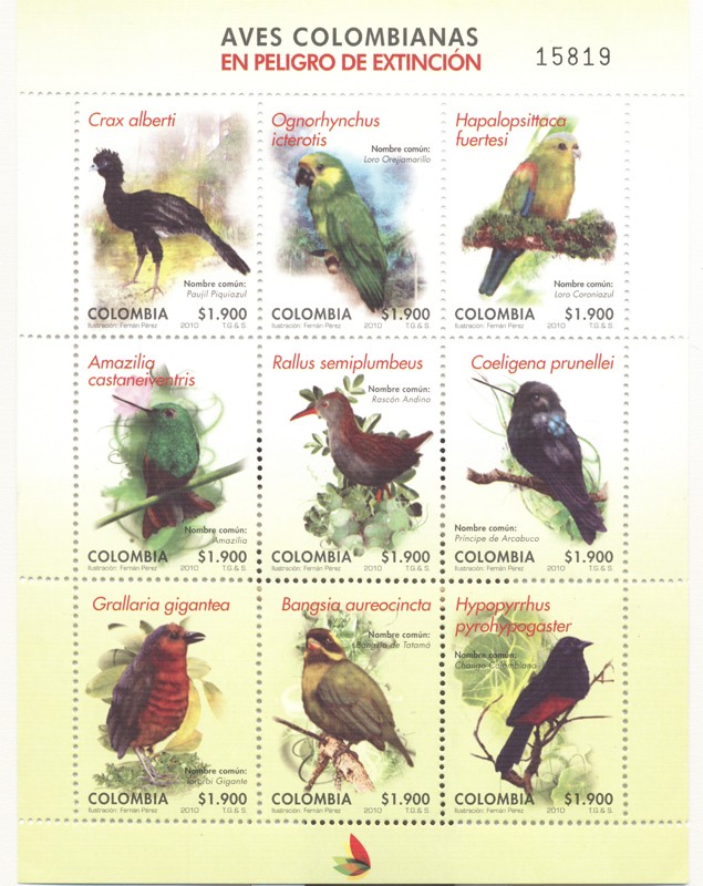 Aves Colombianas en peligro de extinción