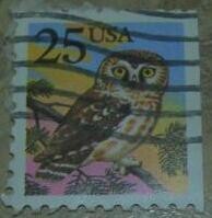 Owl 1988