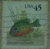 Pumpkinseed sunfish