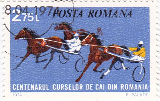 centenario de carreras de caballos en Rumania