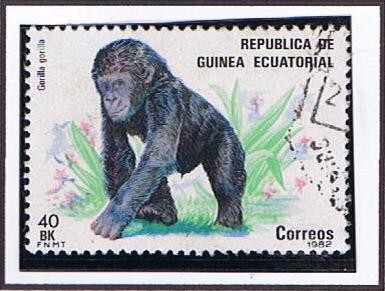 Scott  59 Gorila
