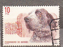 2711 Perros de raza (439)