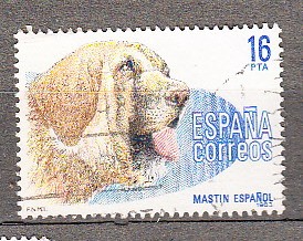 2712 Perros de Raza (440)