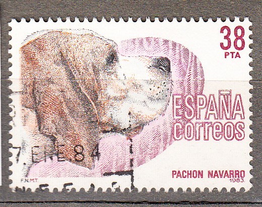 2714 Perros de raza (441)