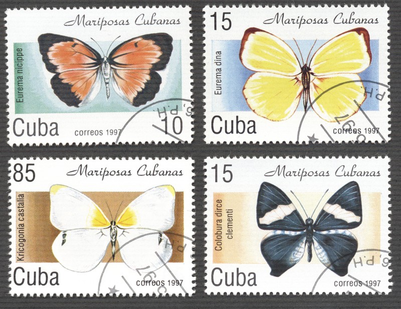 Mariposas Cubanas