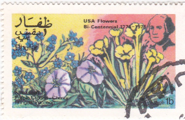 flores