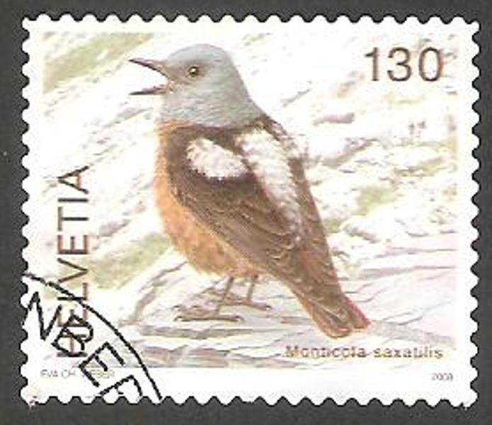 1983 - ave monticole, monticola saxatilis