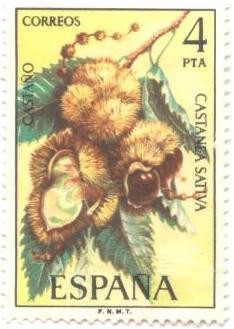 Chestnuts