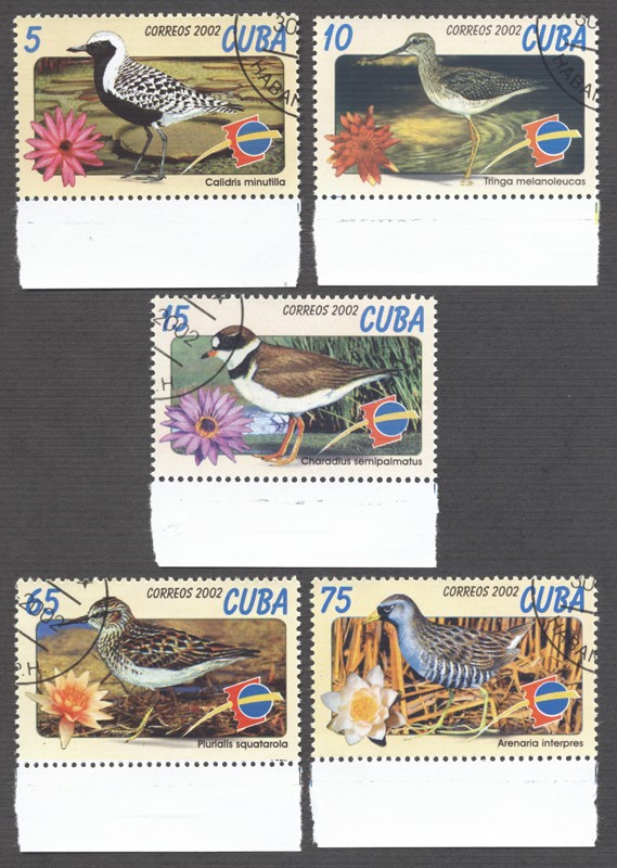 Ornitologia Cubana ??