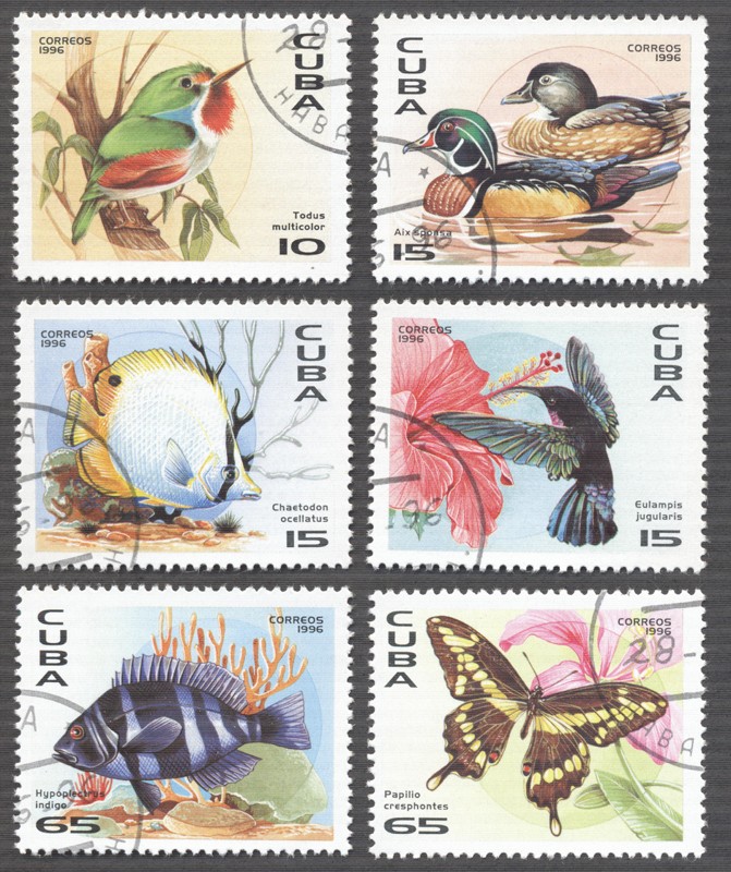 Fauna 1996