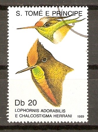 LOPHORNIS   ADORABILIS