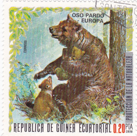 PROTECCION DE LA NATURALEZA -Oso pardo-Europa