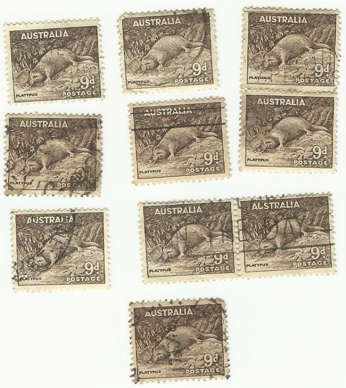 Australia postage 9d Platypus