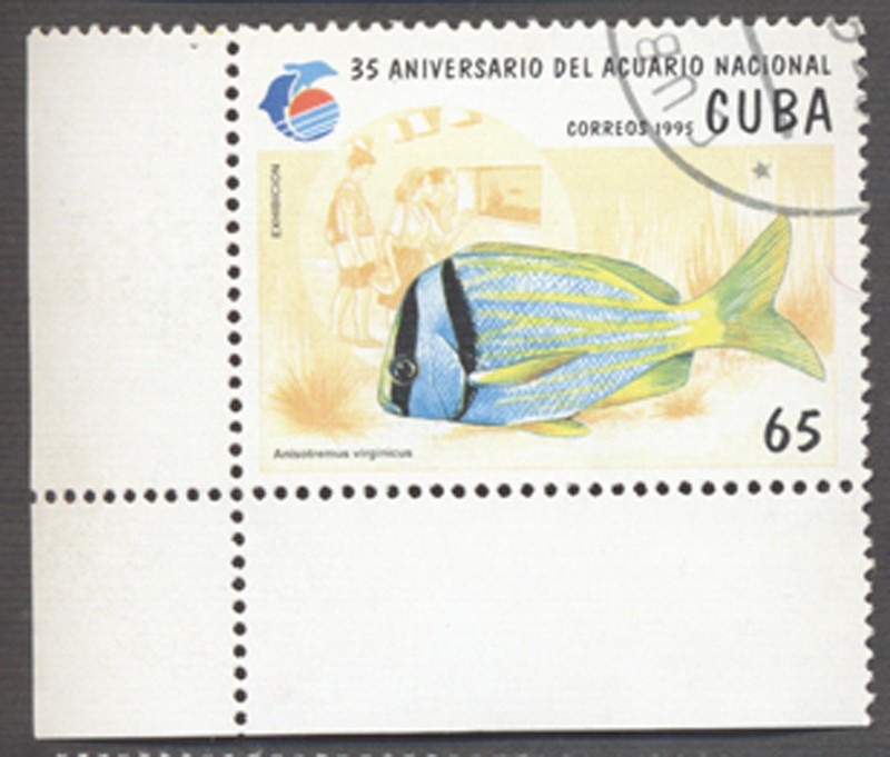 35 Aniversario del acuario nacional