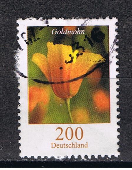 Goldmohn